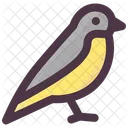 Spring Bird Animal Icon