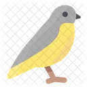 Spring Bird Animal Icon