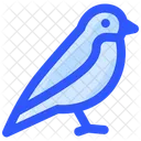 Bird Icon
