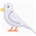 새 동물 비둘기 아이콘