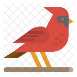 Bird  Icon