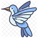 Bird Hummingbird Wildlife Icon