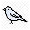 Bird Sparrow Pet Icon