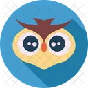 Bird Owl Angry Icon