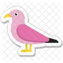 Bird Pigeon Dove Icon