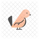 Bird Animal Parrot Icon
