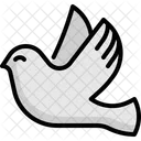 Bird Peace Animal Icon