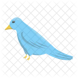 Bird  Icon