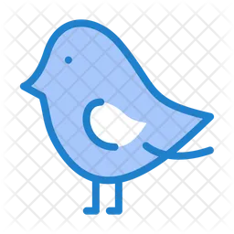 Bird  Icon