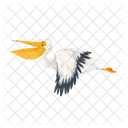 Bird Mammal Wild Icon