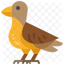 Bird Autumn Animal Icon