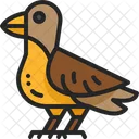Bird Autumn Animal Icon