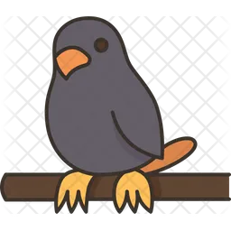 Bird  Icon
