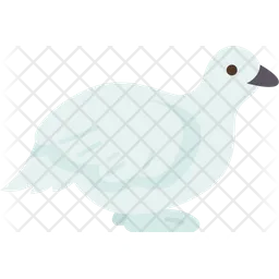 Bird  Icon