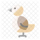 Bird Animal Organism Icon