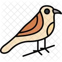 Bird Animal Environment Icon