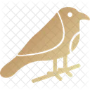 Bird Animal Environment Icon