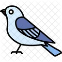 Bird Raven Flying Icon