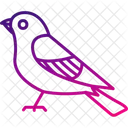 Bird Raven Flying Icon