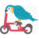 Bird Parrot Show Icon