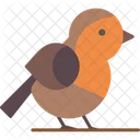 Bird Animal Feather Icon