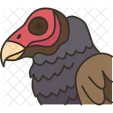 Bird Scavenging Vulture Icon