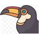 Bird Toucan Beak Icon