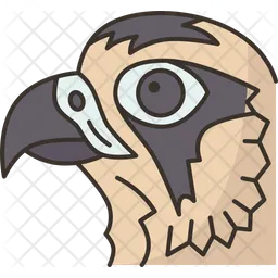 Bird  Icon