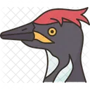 Bird Woodpecker Chiseling Icon