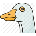 Bird Duck Water Icon