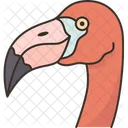 Bird Flamingo Wader Icon