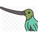 Bird Hummingbird Beak Icon