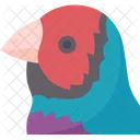 Bird Seed Eater Icon