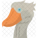 Bird Shoebill Beak Icon