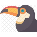 Bird Toucan Beak Icon