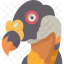 Bird Vulture Beak Icon