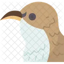 Bird Creeper Beak Icon