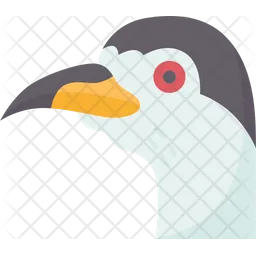 Bird  Icon