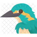 Bird Kingfisher Fishing Icon