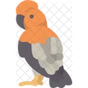 Bird Cock Rock Icon