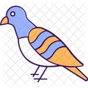 Bird Pigeon Columbidae Icon