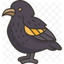 Bird Finch Vampire Icon