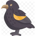 Bird Finch Vampire Icon