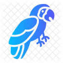 Bird Macaw Animal Icon