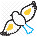 Bird Birdie Feathered Icon