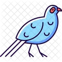Bird Blue Icon
