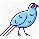 Bird blue  Icon