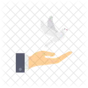 Bird Care  Icon
