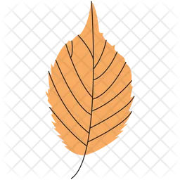 Bird Cherry Leaf  Icon