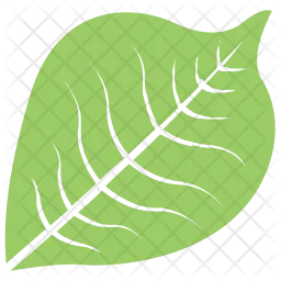 Bird Cherry Leaf  Icon